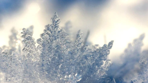 segunda tormenta invernal puebla 2025