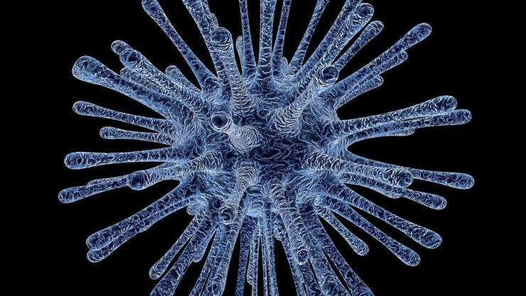 Hombre de la India es el primer caso de la variante Delta en Jalisco