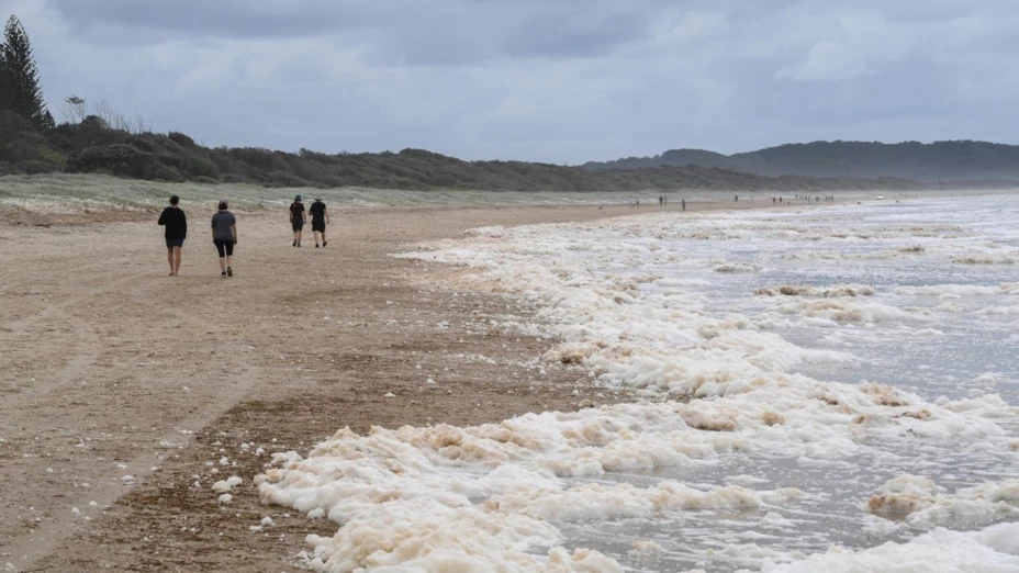 Cierran dos playas en Australia tras la aparición de espuma que mató a cientos de peces