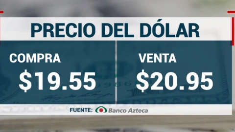 Precio del dólar en México hoy 25 de noviembre 2024; tipo de cambio