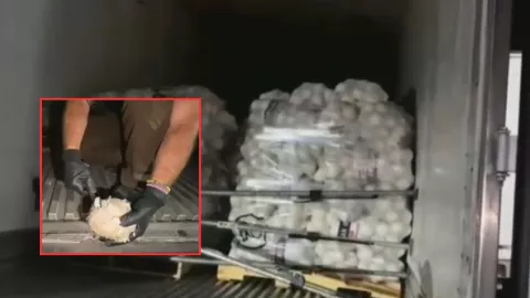 Droga oculta en cebollas: aseguran tractocamión con metanfetamina en Reynosa-San Fernando, Tamaulipas