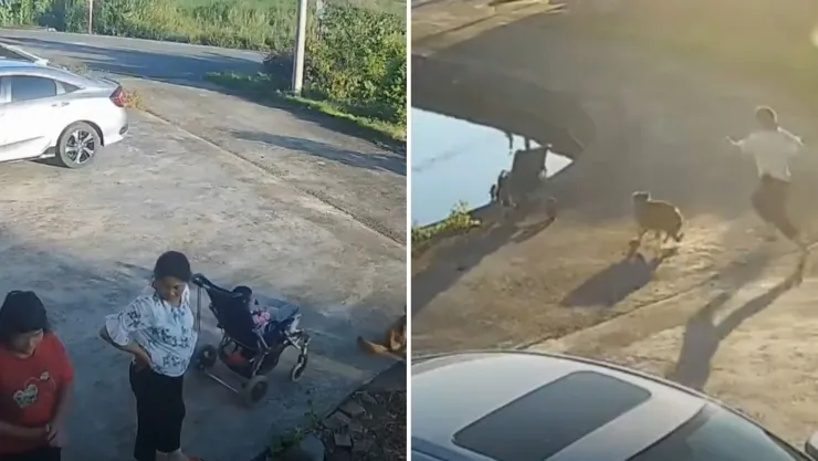 La “abuela del año” descuida carreola y su nieto termina en un estanque.jpg