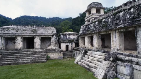 7 Palenque 
