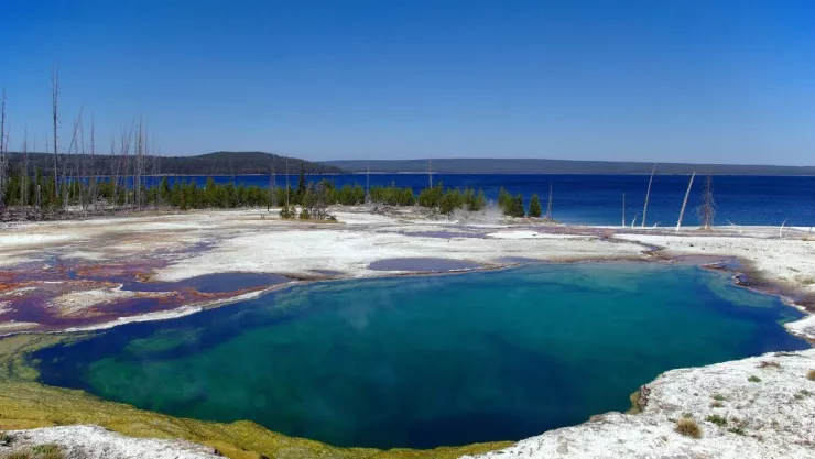 Un pie flotando aparece en aguas termales de parque nacional Yellowstone en Estados Unidos.