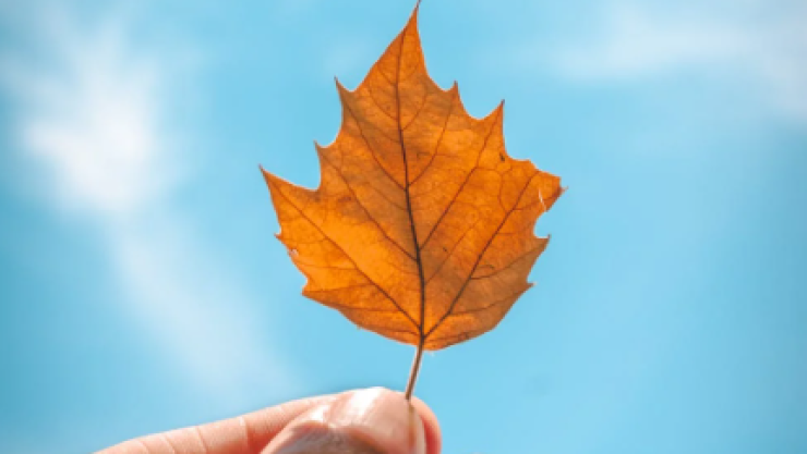 Equinoccio de otoño 2024: El día y la noche duran lo mismo HOY, esta es la razón
