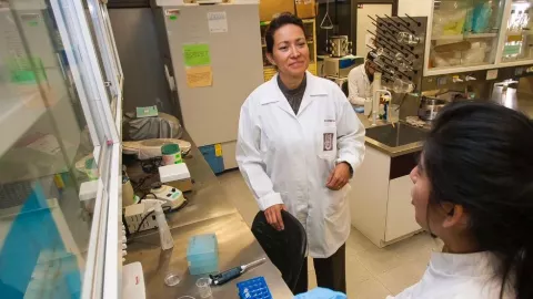 Elimina IPN cien por ciento virus del papiloma humano