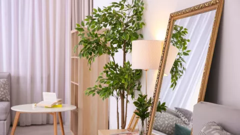 Las tendencias en plantas 2026: grandes y llamativas que funcionan como arte y protagonizan cualquier rincón.