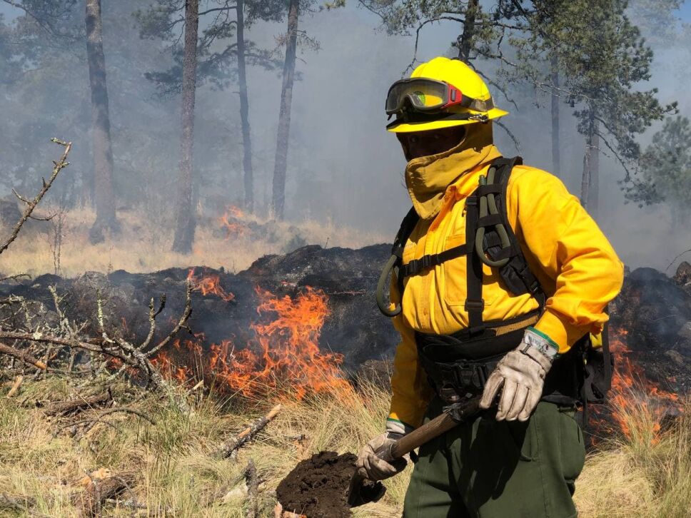 Reporte Incendios Forestales En Mexico Hasta Este 5 De Marzo