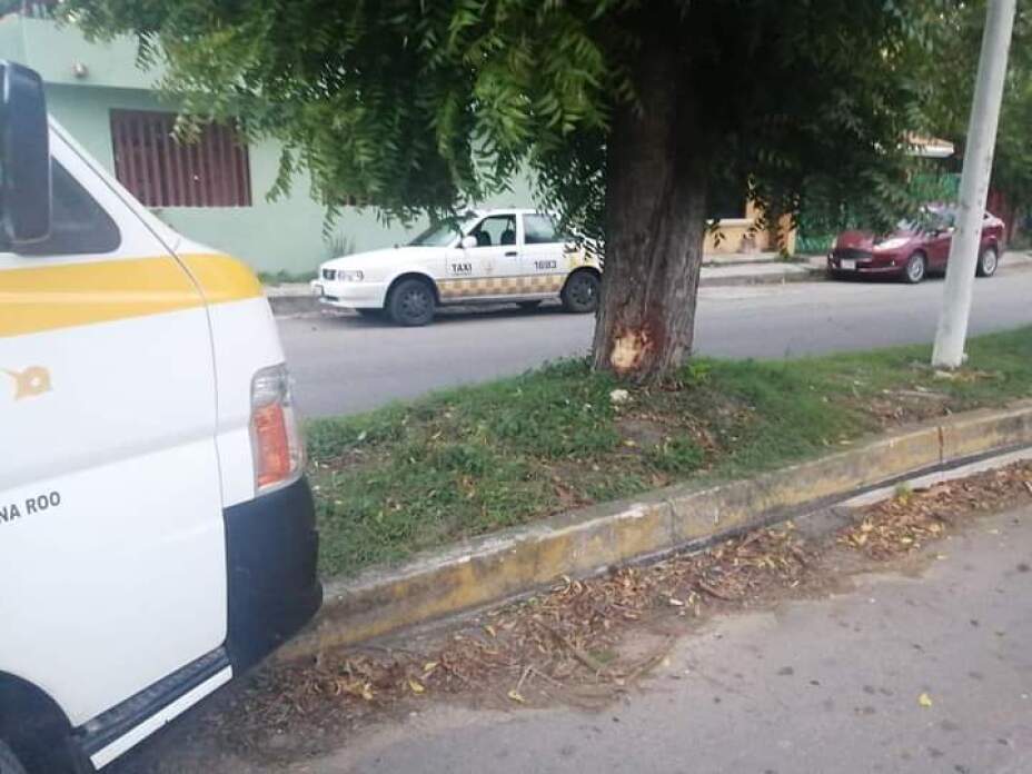 Combi se impacta contra un árbol en Chetumal