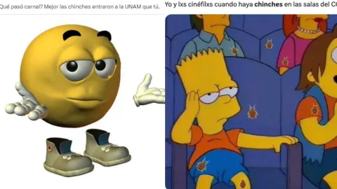 Estudiantes de la UNAM se pronuncian por plaga de chinches, ¿con memes?