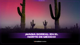 magia boreal en el norte de mexico
