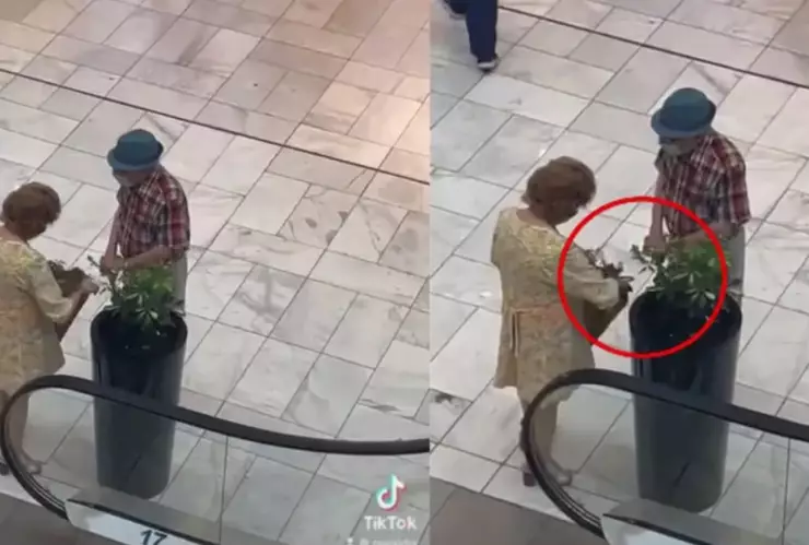 VIDEO - Ancianita se roba maceta de centro comercial y se la cachan