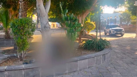 Mujer se quita la vida en San Luis Potosí 16 de marzo