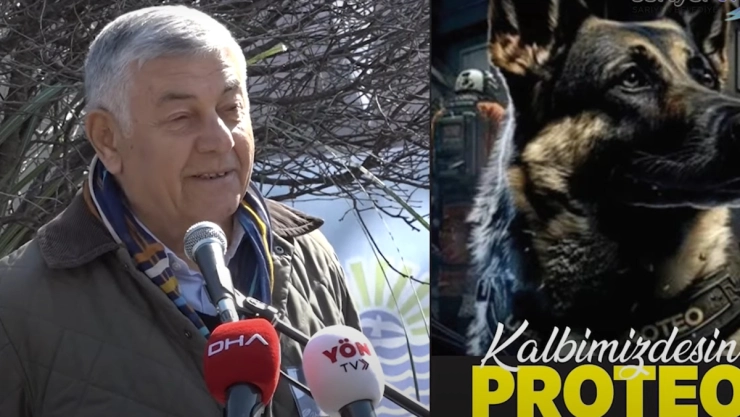 Turquía perro mexicano Proteo