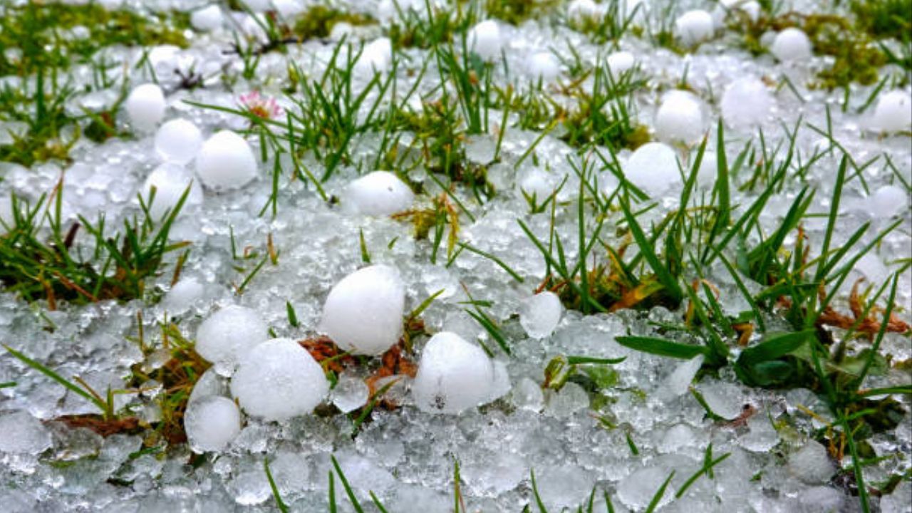 FOTOS: Captan intensa granizada sobre la Recta Seco-Zacatepec; acusan daños en cultivos