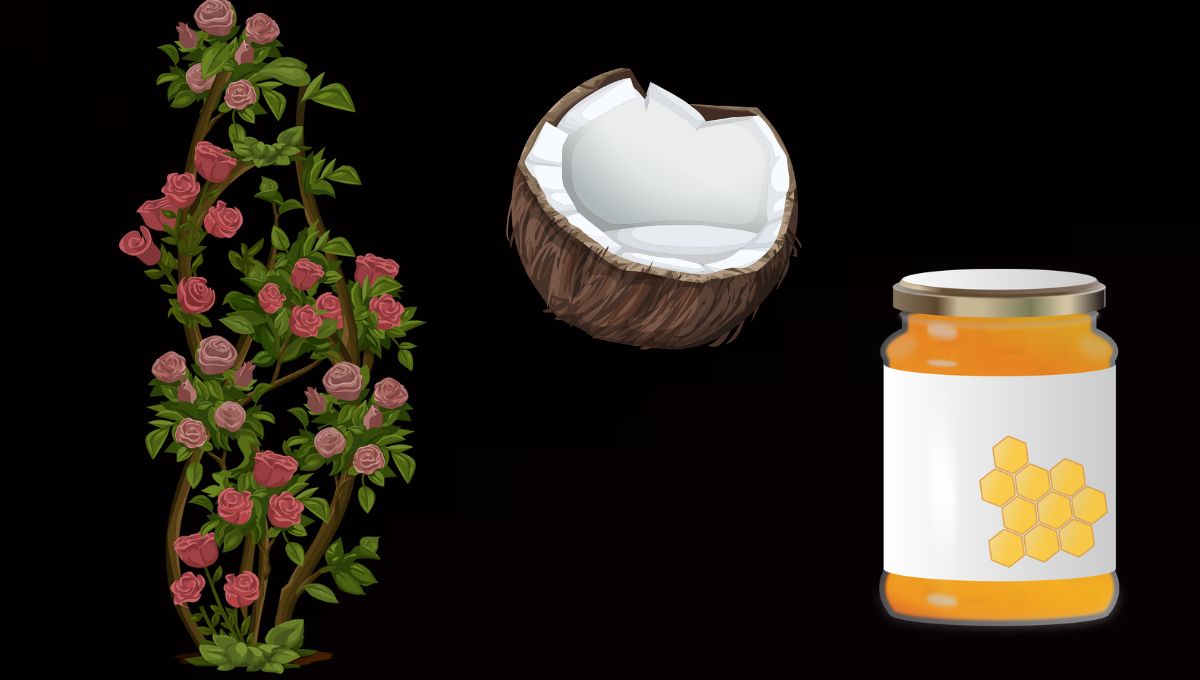 ¿Cómo atraer el amor con este ritual der coco, pétalos y miel?