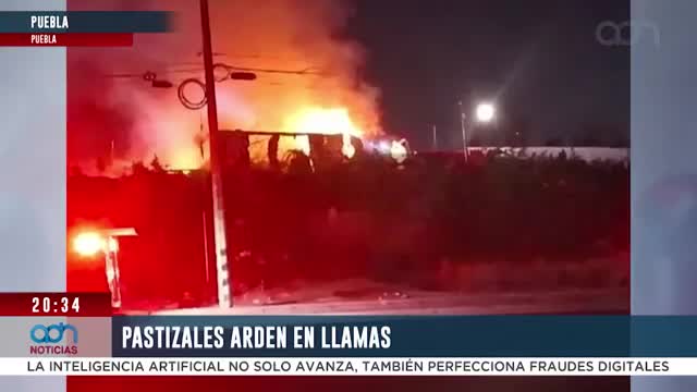 Incendio en boulevard Municipio Libre y 38 Sur