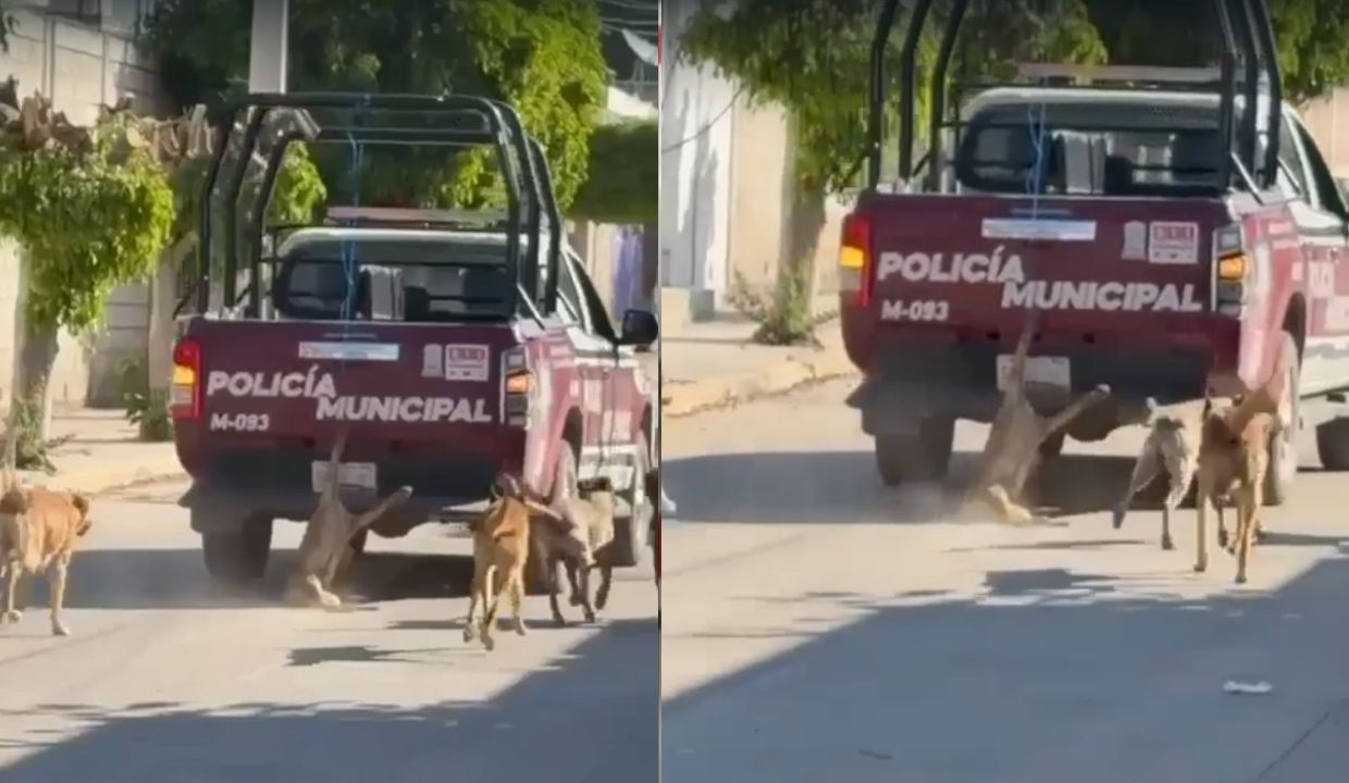 VIDEO: Captan a patrulla de Xochiltepec arrastrando a un perrito en plena calle