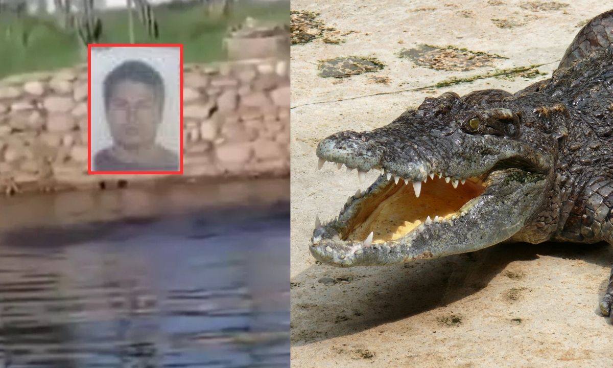 ¿Quién era el hombre que fue devorado por un cocodrilo en Tabasco?