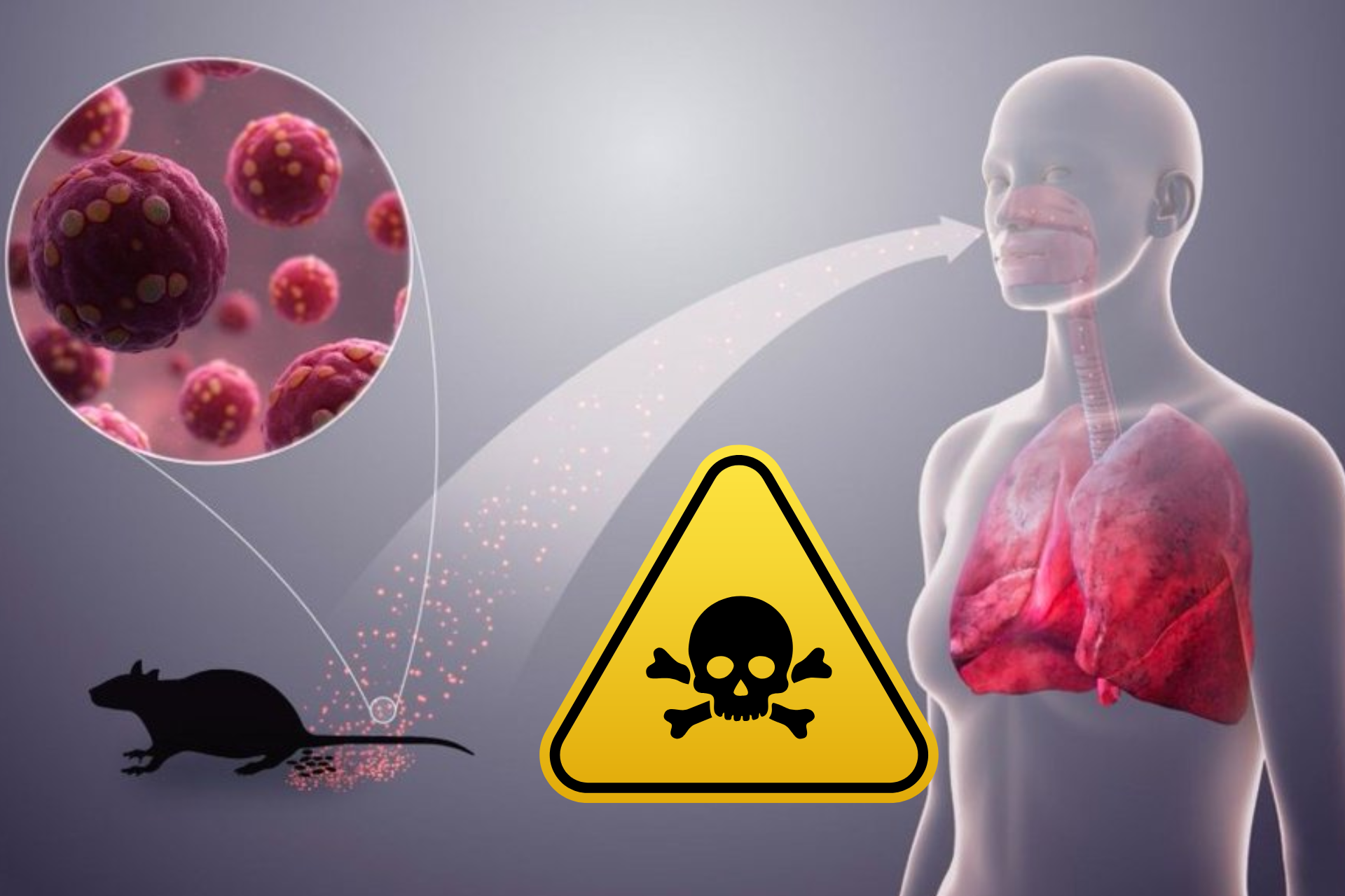 Qué síntomas provoca el hantavirus y por qué puede causar la muerte en menos de una semana?
