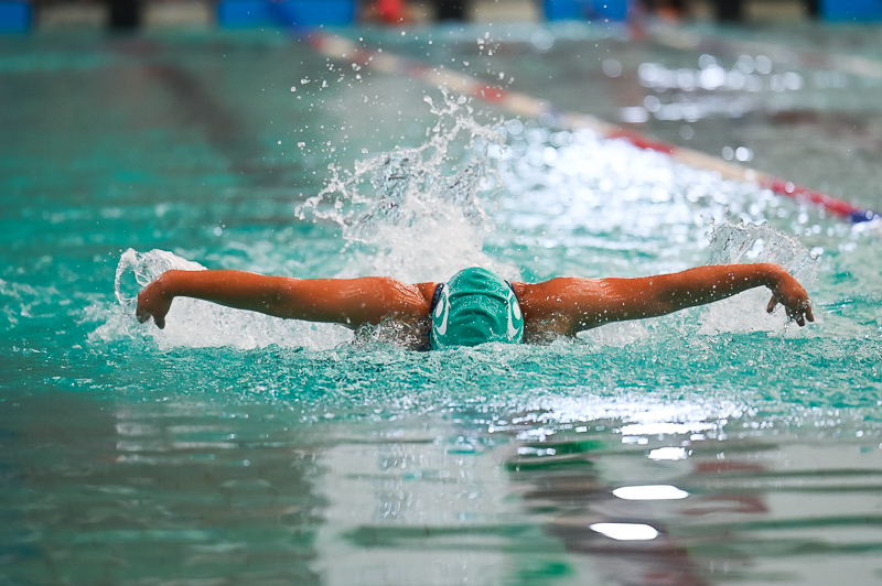 Natacion_2/natacion_282.jpg