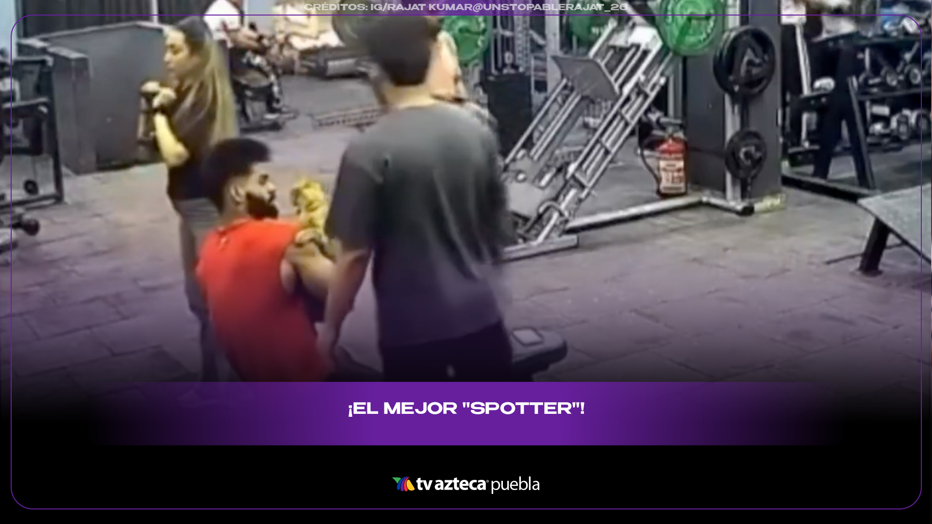 Gato interrumpe rutina en gimnasio con un inesperado abrazo viral