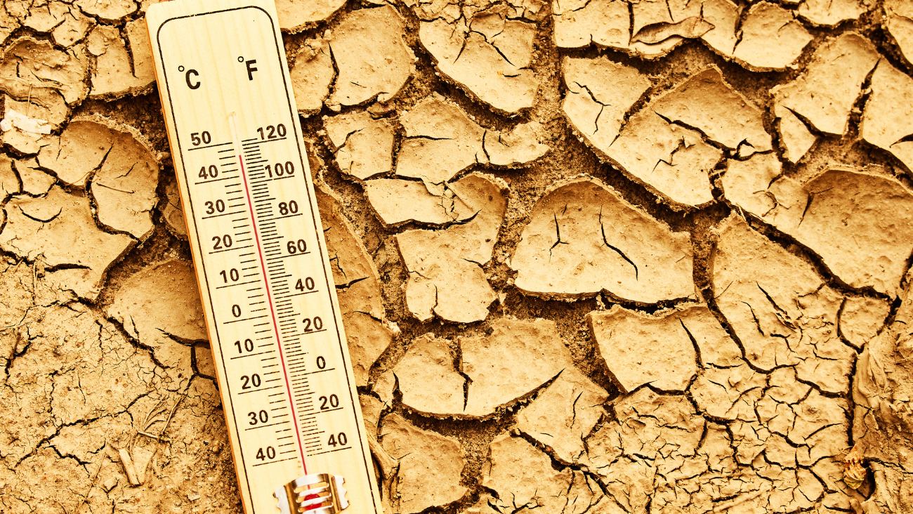 Alerta histórica por aumento de temperaturas en 41 estados de EUA