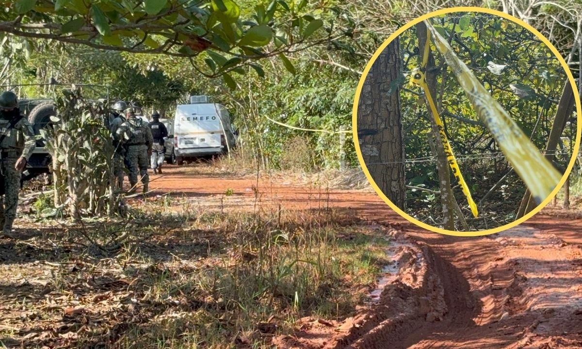 Qué se sabe del presunto hallazgo de una fosa clandestina en Jáltipan de  Morelos, Veracruz?