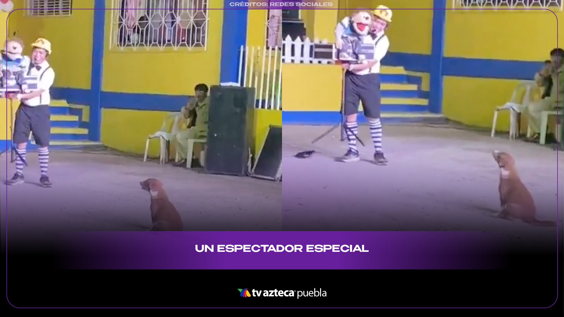 Perrito se vuelve el espectador más fiel en show callejero viral