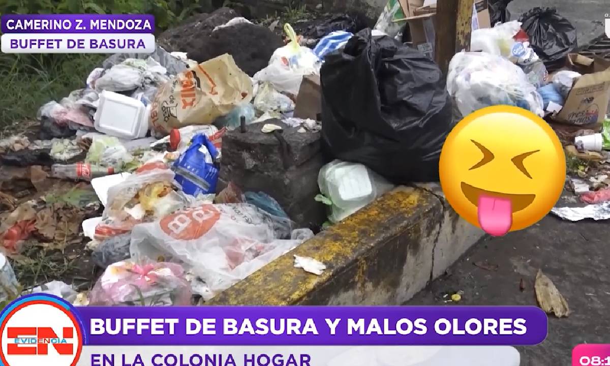 Basura y comida echada perder provoca malos olores en la colonia Hogar ...