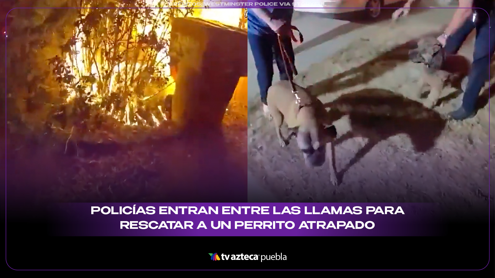 Policías entran entre las llamas para rescatar a un perrito atrapado