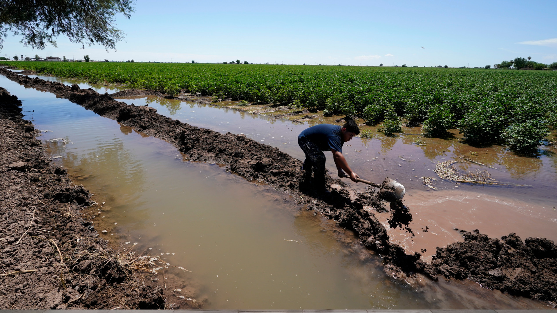 Río Colorado lleva cada vez menos agua al noroeste de México