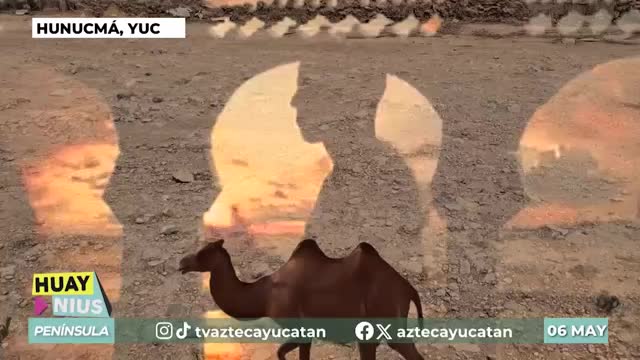 ¿Qué está pasando con las calles de Hunucmá?