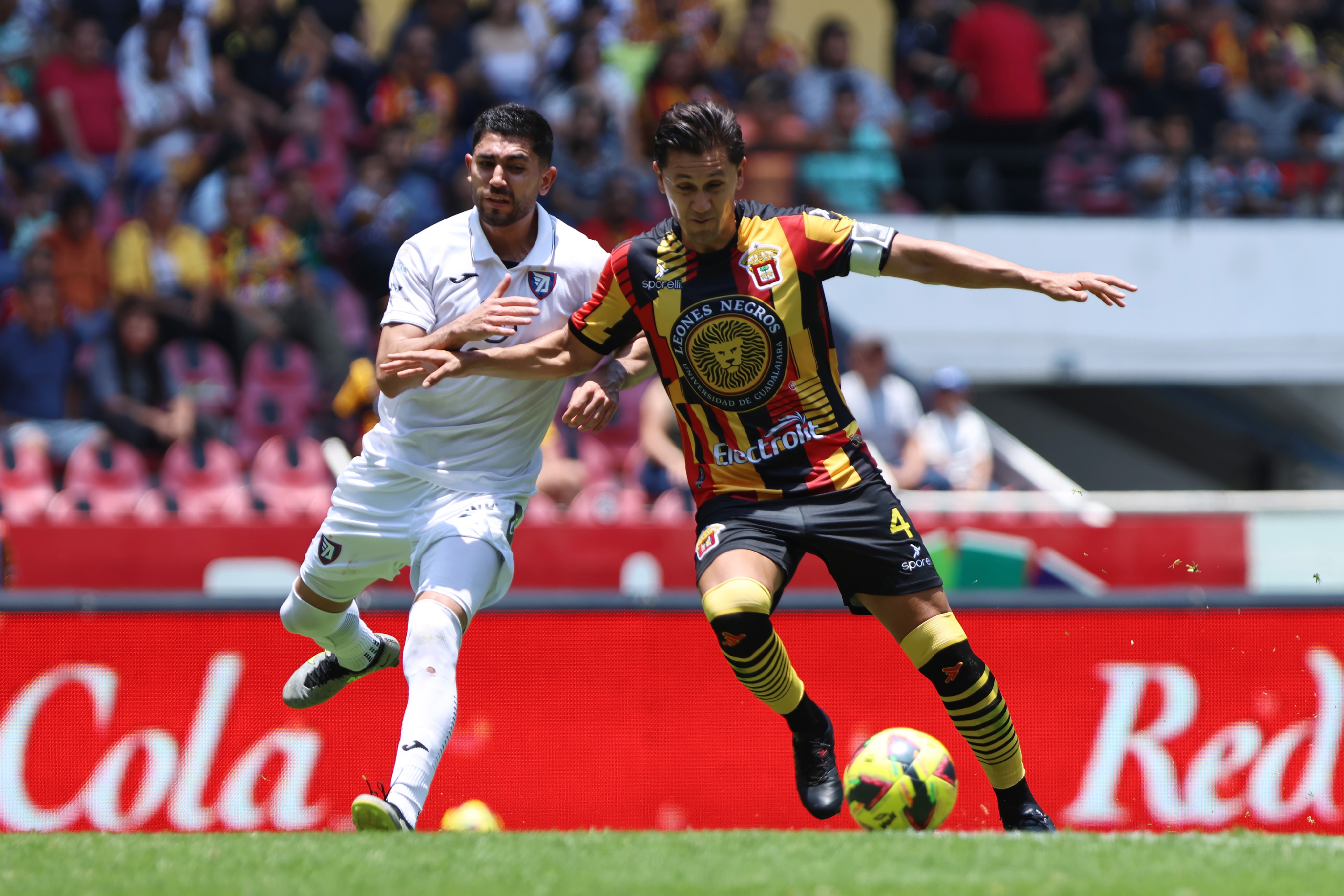 Leones Negros vs Tepatitlán: UdeG avanza a las Semifinales del Clausura ...