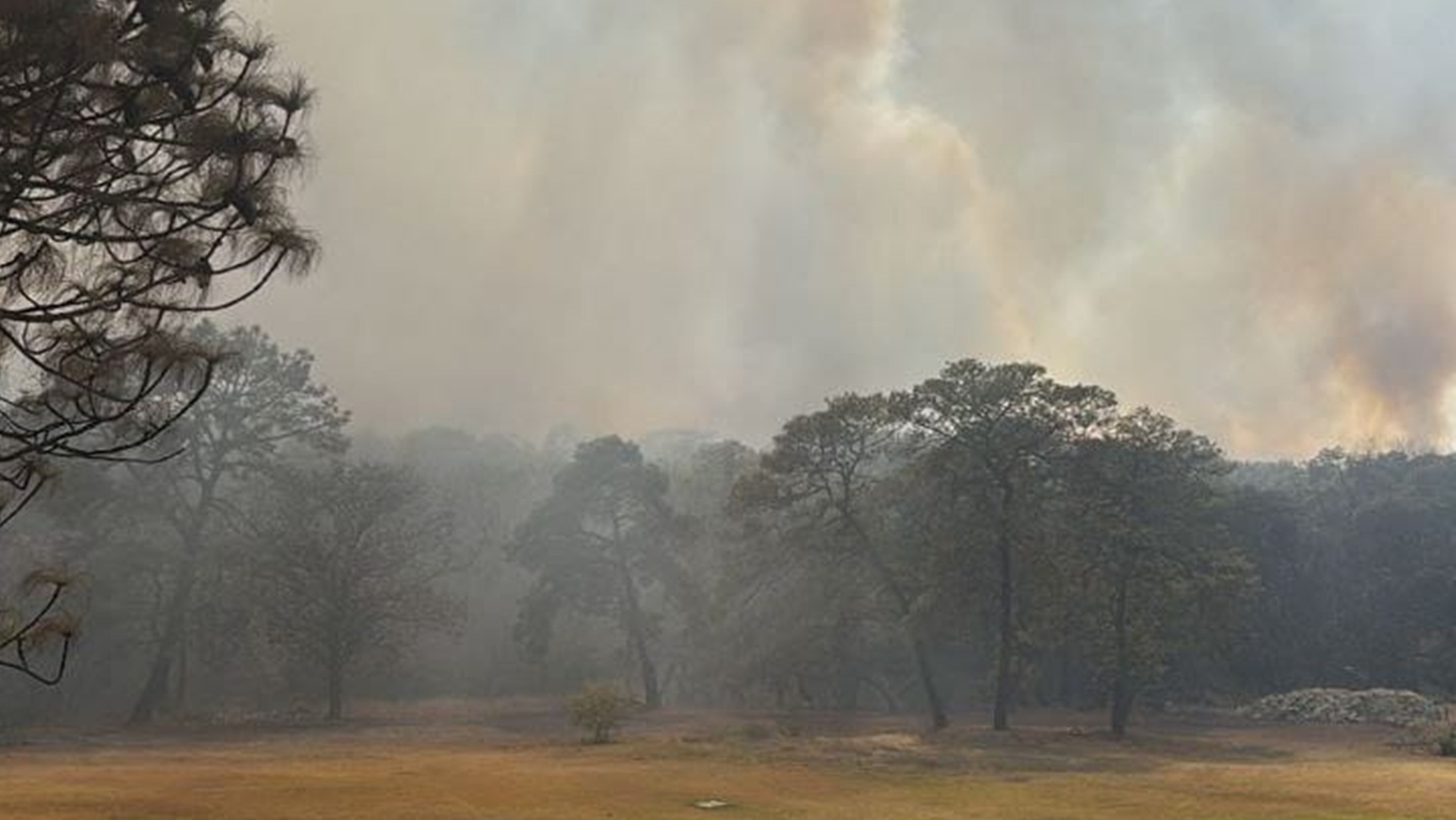 Activan alerta atmosférica para 9 municipios de Jalisco por incendios ...