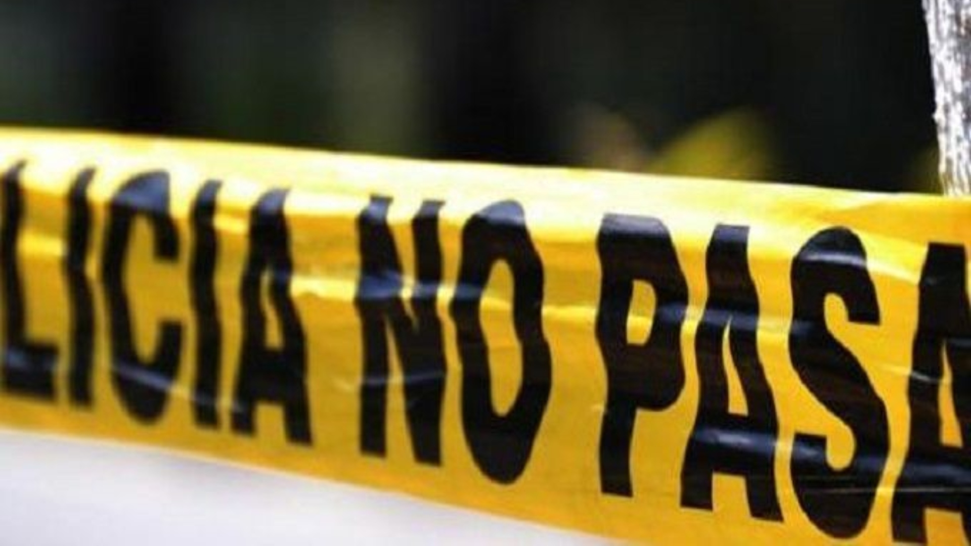 Osamenta humana es hallada al sur de Mérida; ¿Ya se sabe a quién le ...