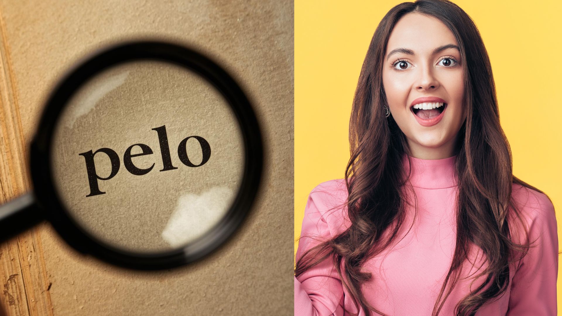 Qué significa la palabra 