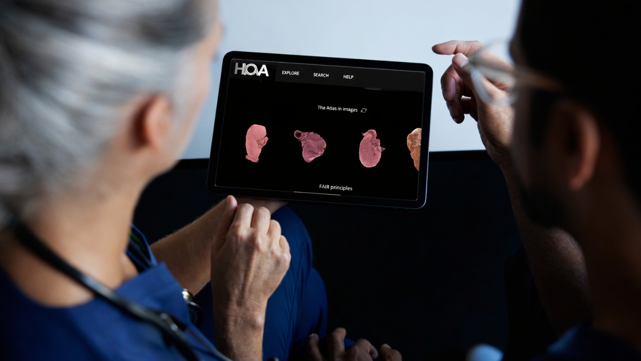 Lanzan un “Google Earth” del cuerpo humano permite ver órganos en 3D gratis