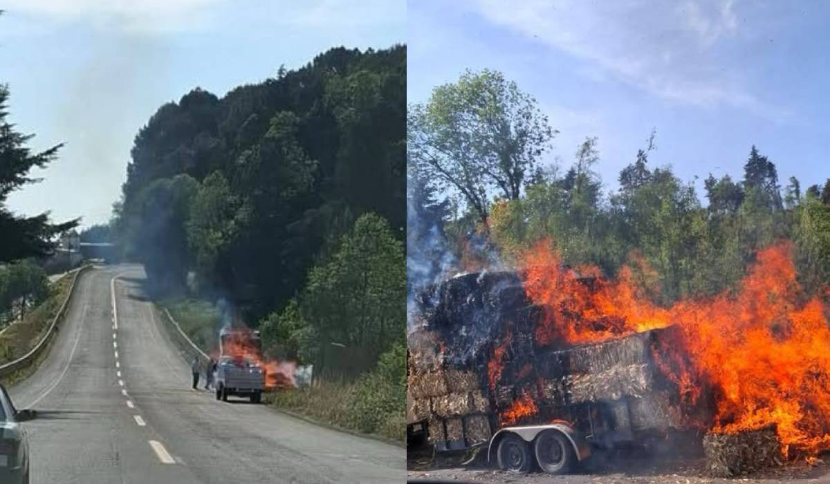 Incendio de remolque en carretera Perote-Xalapa hoy 2 de abril de 2025