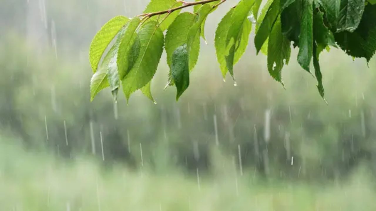 Lluvias fuertes y posible granizo afectarán varias regiones de Puebla hoy sábado
