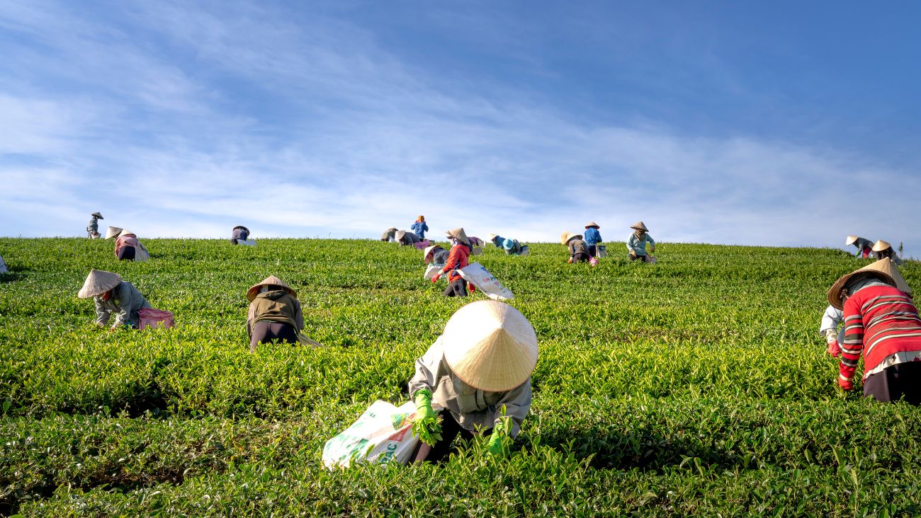 Campesinos de Zacatecas denuncian "trampas" en la nueva Ley de Aguas